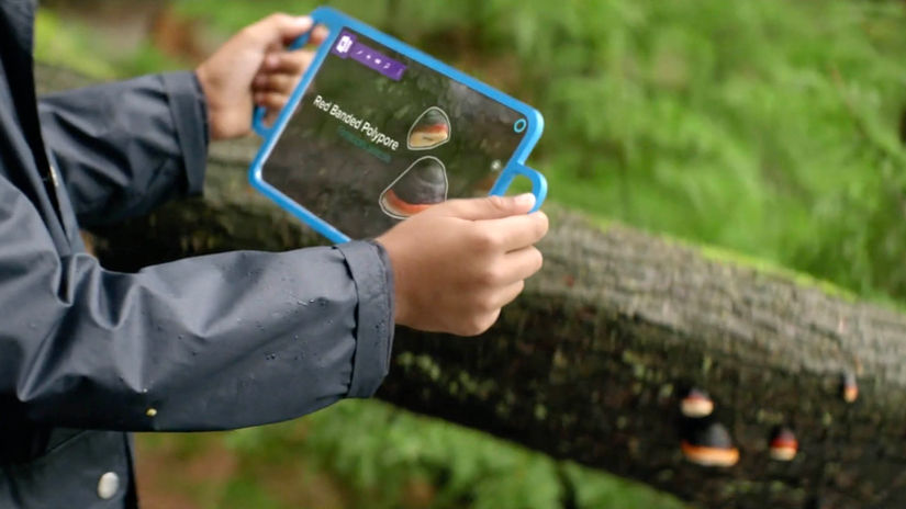 Microsoft: Vision